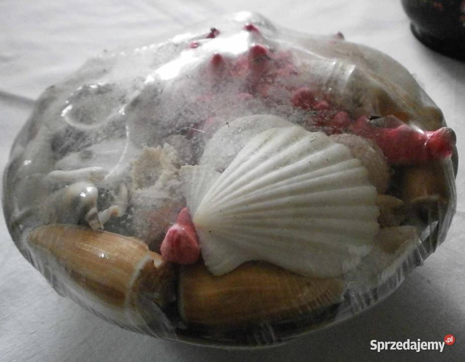 Zafoliowany zestaw Muszli Tropikalnych Pozostałe Kraków