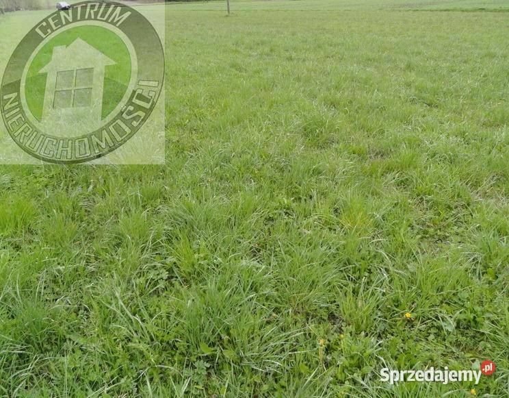 Grunt 4100m2 Łęki Grunty i działki