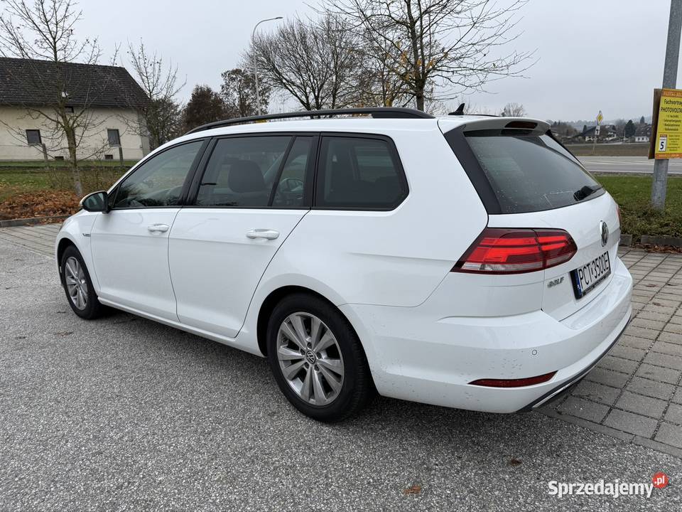 Vw Golf 7 15 Tsi 130 ACT Bluemotion Rok produkcji 2018 Czarnków
