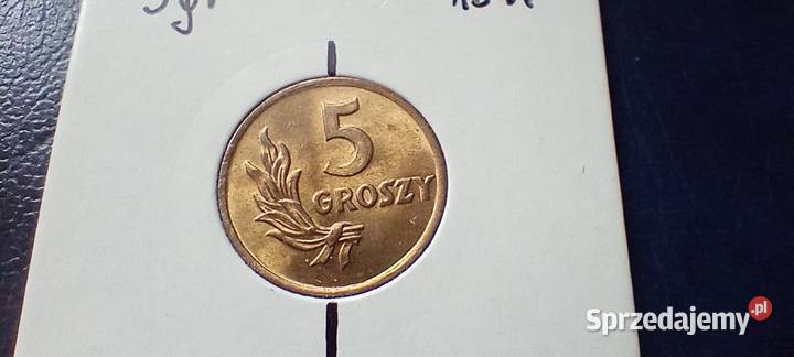 Stare monety 5 groszy 1949 Brąz skrętka Polska Lesko