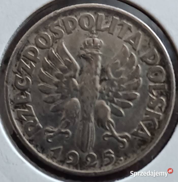 1 Złoty Żniwiarka 1925 r z kropkąmennica Konin