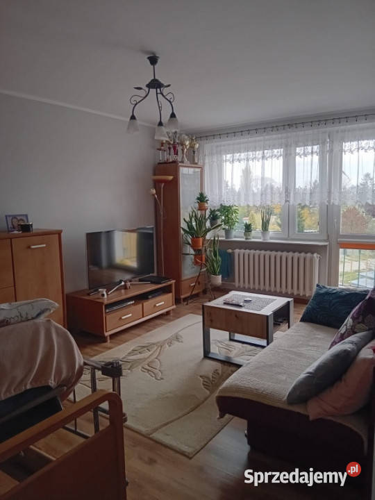 Sprzedam mieszkanie w Rypinie