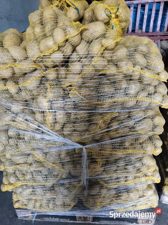 Ziemniaki nieuszkodzony Do ziemniaków i warzyw małopolskie Stręgoborzyce