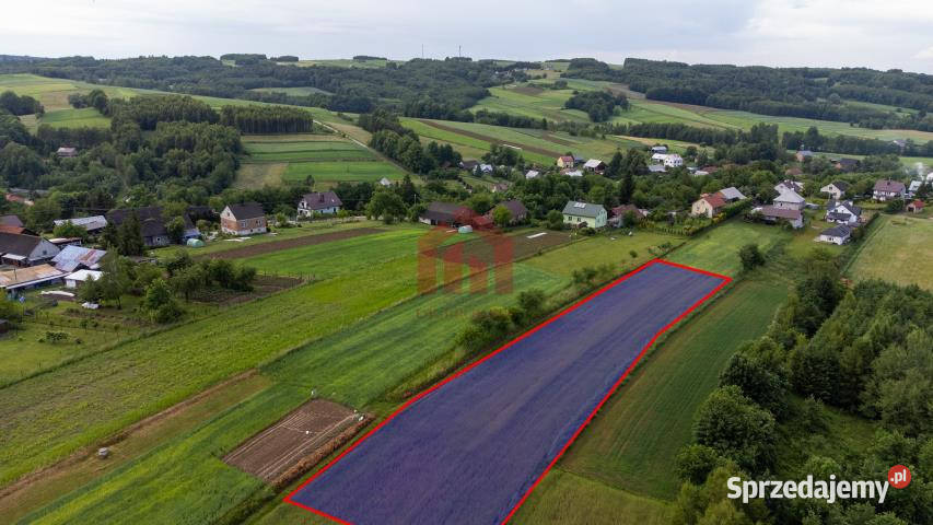 Grunt 2800m2 Zagorzyce