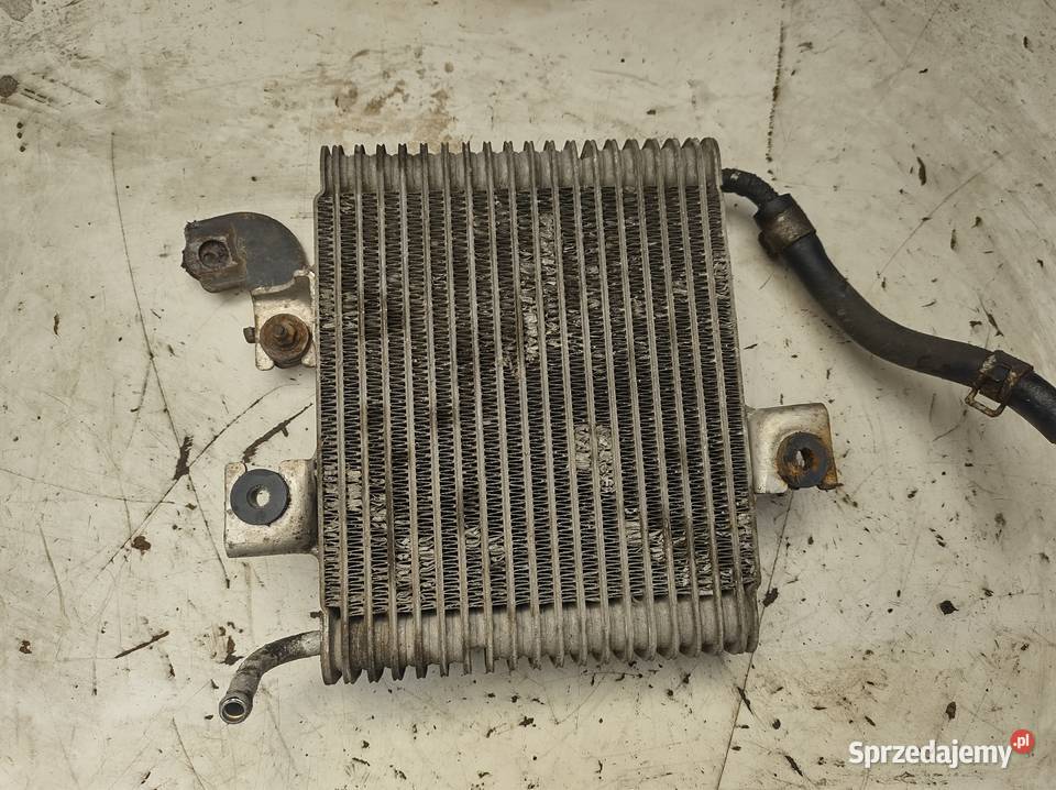 NISSAN MURANO Z50 35 V6 chłodnica oleju skrzyni świętokrzyskie