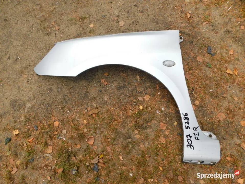peugeot 307 błotnik kolor E2RC 5286 WYSYŁKA Żory