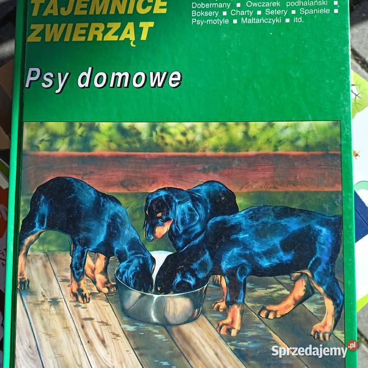Psy domowe książki Warszawa tani księgarnia