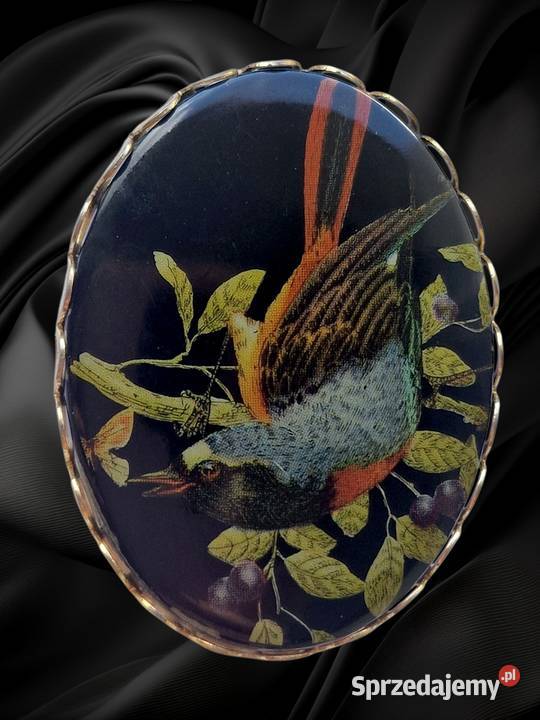 VINTAGE BROSZKA ZIMORODEK KINGFISHER CELULOID Częstochowa