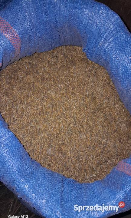 Sprzedam Owiespszenicę Jęczmień żytosłoma baliki Kraków