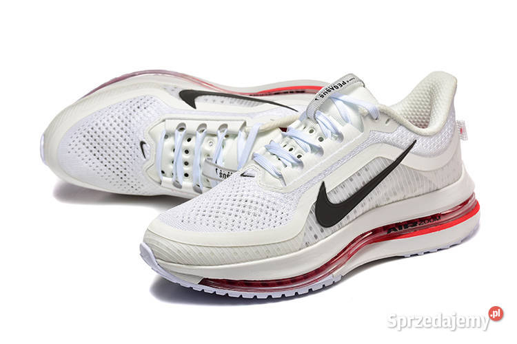 NIKE PEGASUS PREMIUM TRAIL 3645