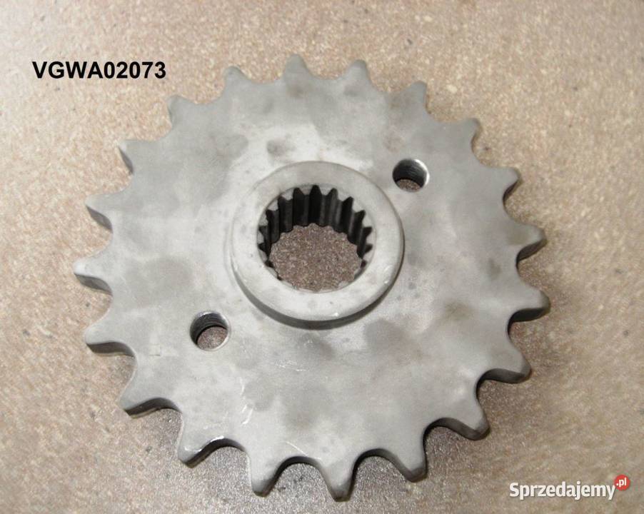 Koło łańcuchowe Z20 1 fi 38 mm wielowpust 2 otw Czekanów