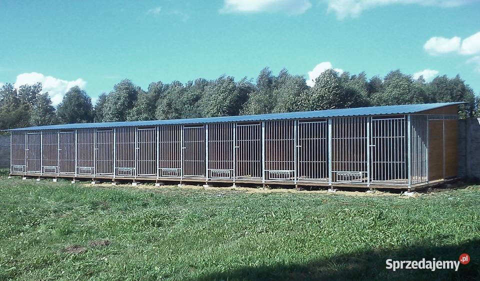 kojec buda zagroda psa i psów Skierniewice