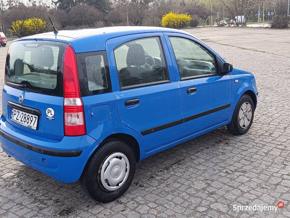 Panda super stan Hatchback Śrem