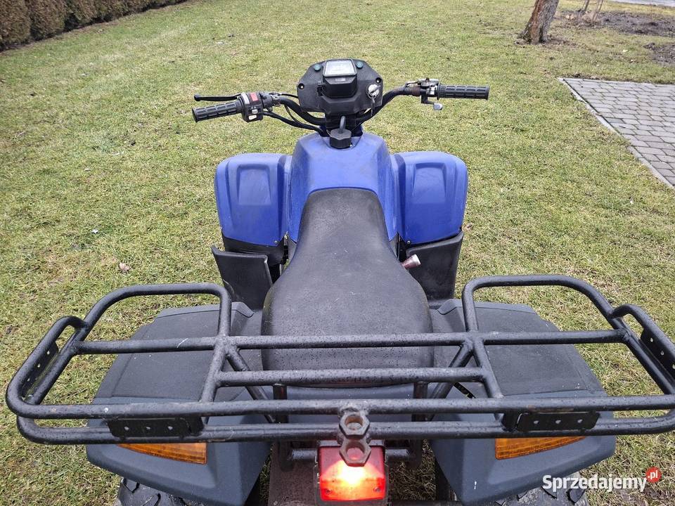 Quad 150 Rok produkcji 2000 Łąka