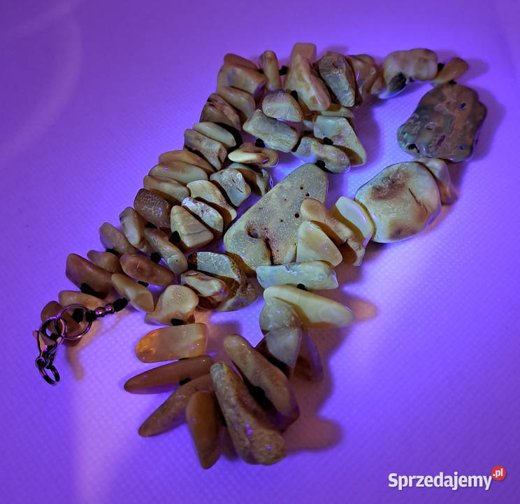 Korale z bursztynu bursztyn bałtycki mleczne z Korale Warszawa