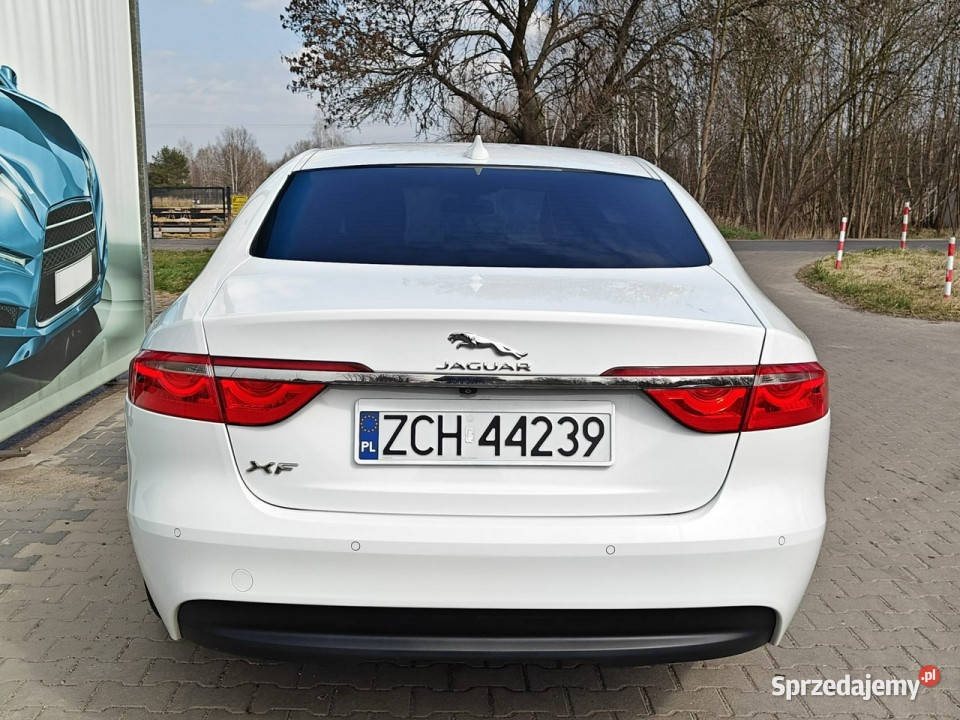 Jaguar XF X260 2015 VAT marża Jaguar Karczew