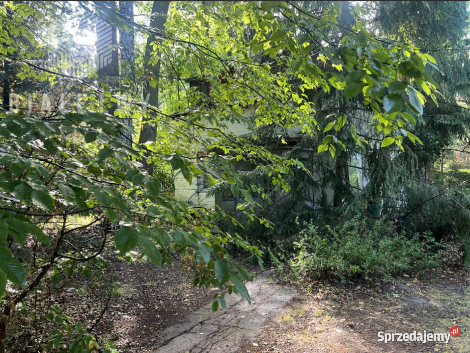 Sprzedaż działki 1150m2 Magdalenka 29m sprzedam