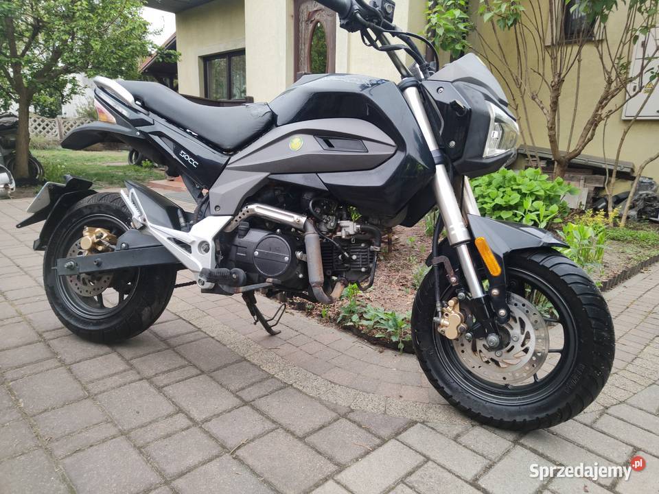 MOX motorek 503 Przasnysz