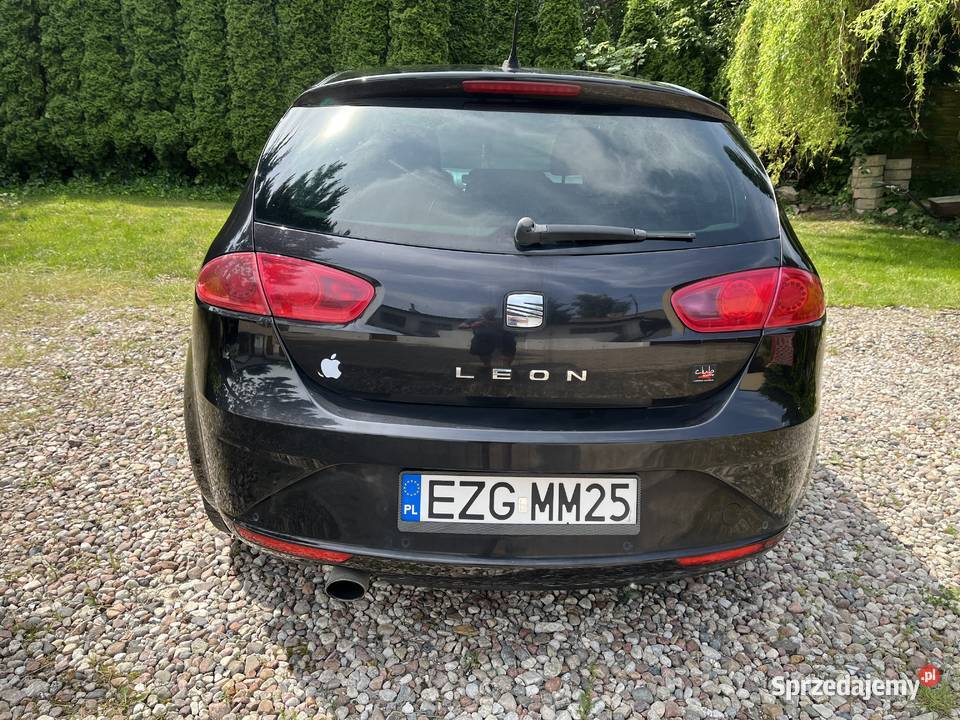 Seat Leon nieuszkodzony sprzedam