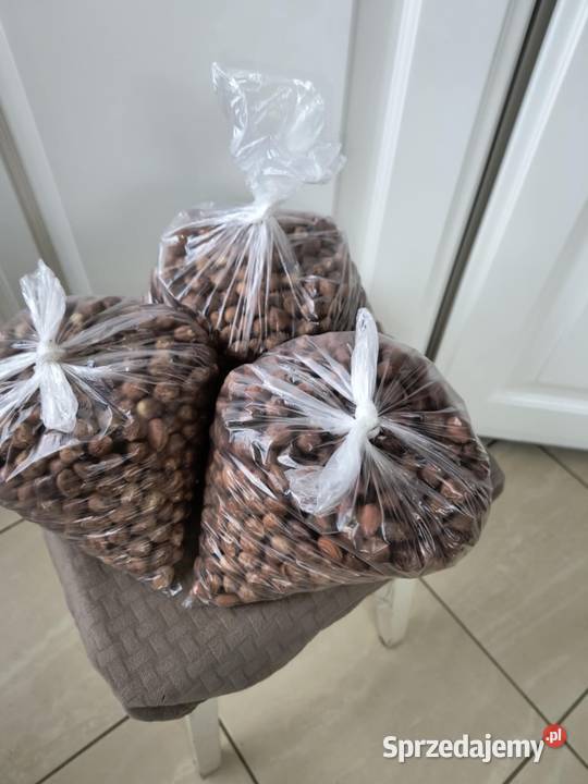 Orzechy laskowe łupane łuskane 1 Lubenia