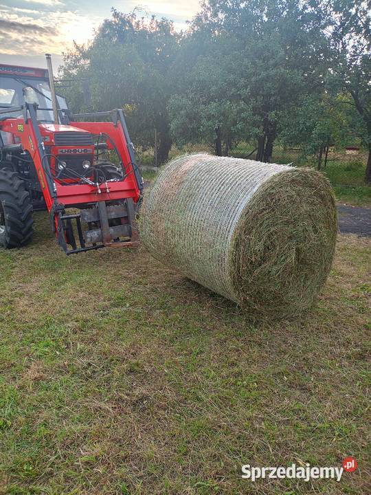 Siano ze zbioru drugiego pokosu Wał-Ruda