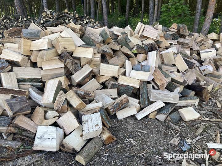 Drewno Buk brzoza mix sosna zachodniopomorskie