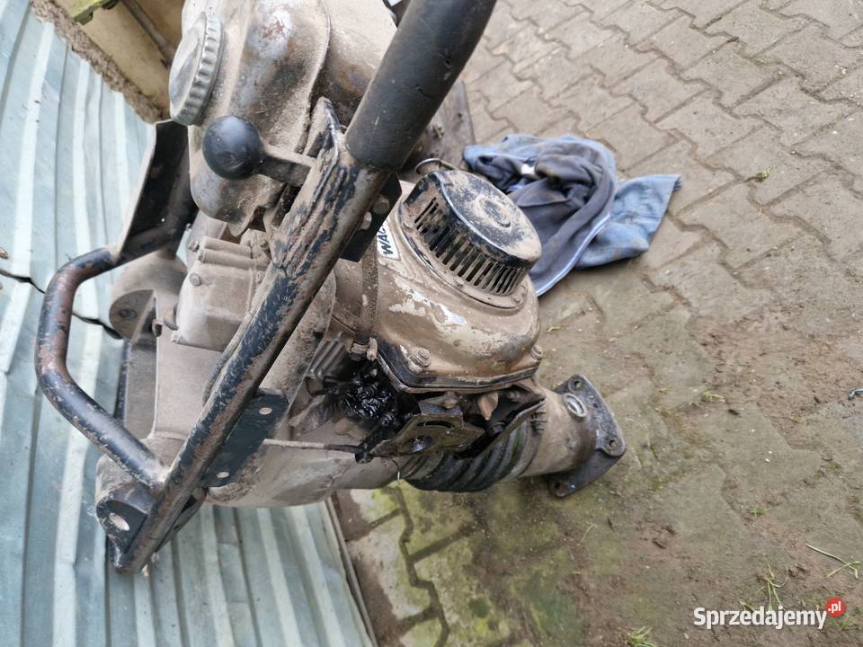 Skoczek wacker ds disel Legnica