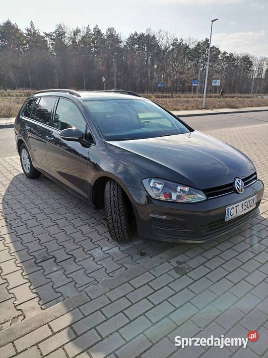 Golf 7 generacji salon Polska Toruń