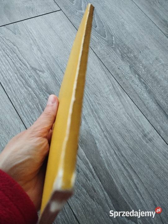 sędzia i jego kat durrenmatt wielkopolskie Poznań sprzedam