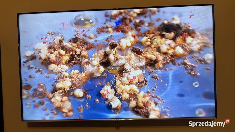 Telewizor Samsung 55 Smart TV LED opolskie Opole