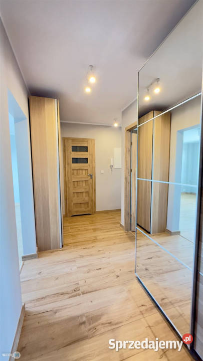 Mieszkanie 6009m2 3 pokoje Kielce