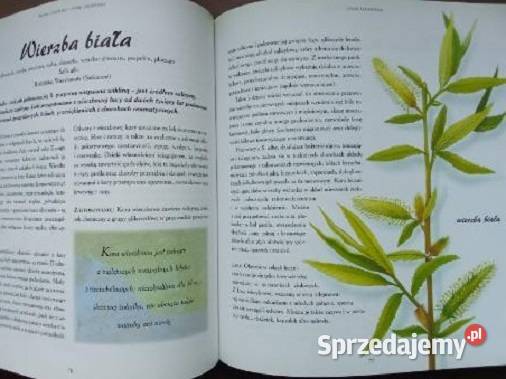 Nowe choroby stare lekarstwa Wielki leksykon