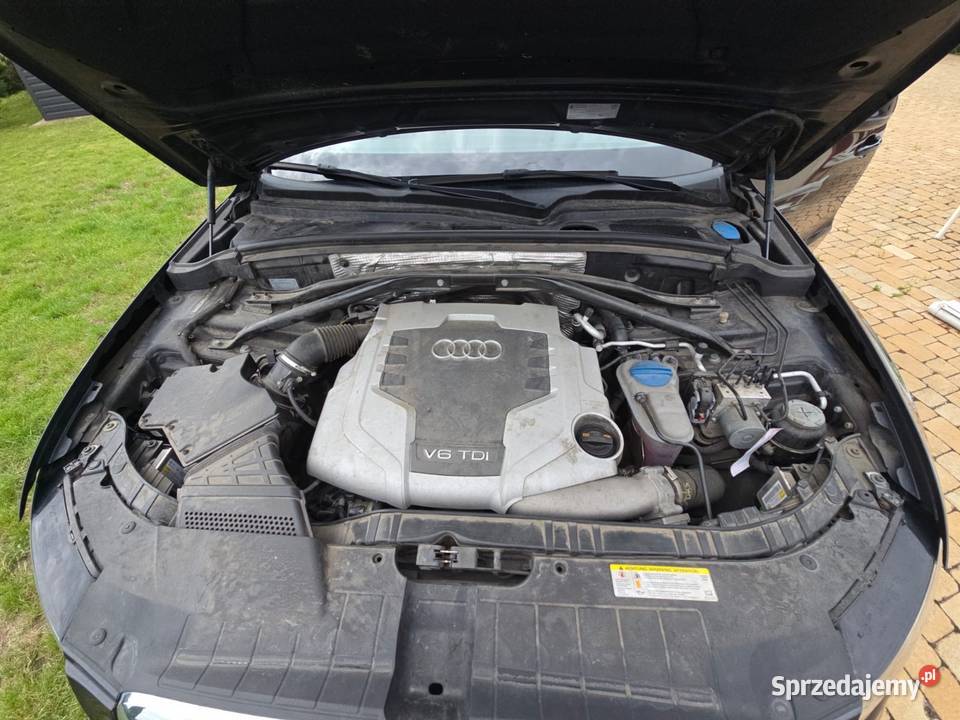 Audi Q5 Quattro radar Bedlno