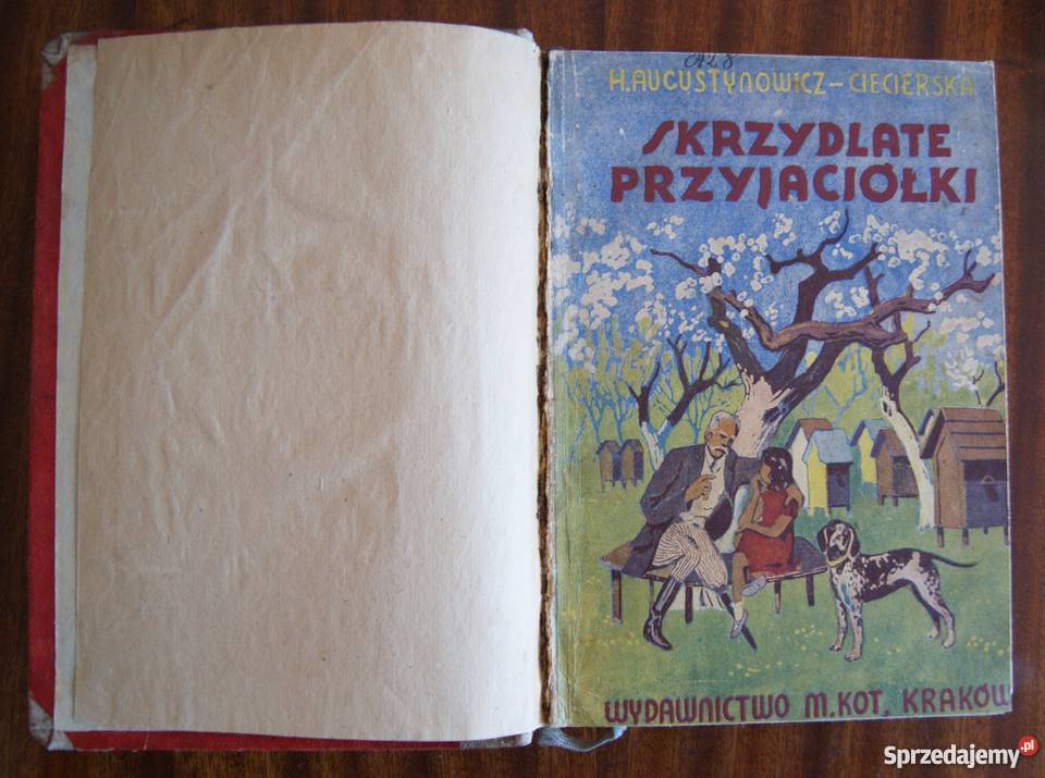 Henryka Augustynowicz Ciecierska Skrzydlate literatura piękna - proza polska lubelskie