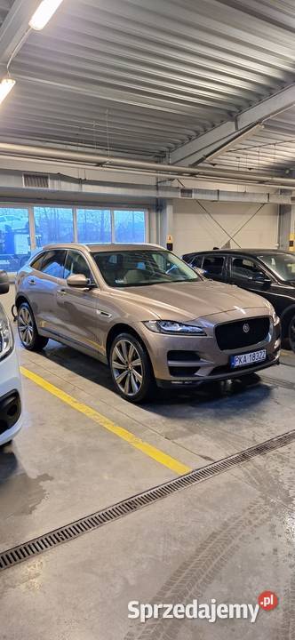Jaguar FPACE 2016r nieuszkodzony Opatówek sprzedam
