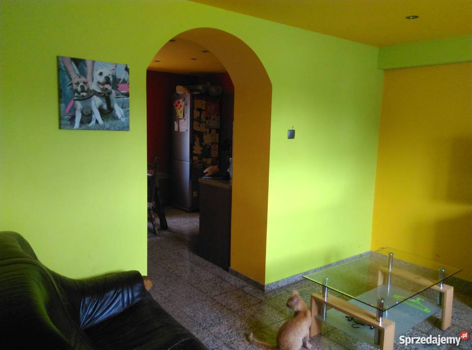 SPRZEDAM DOM Domy Nowy Jaworów