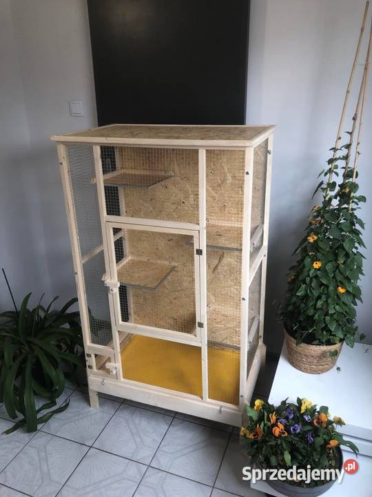 Klatka drewniana gryzonia szynszyli wiewiórki Myszków sprzedam