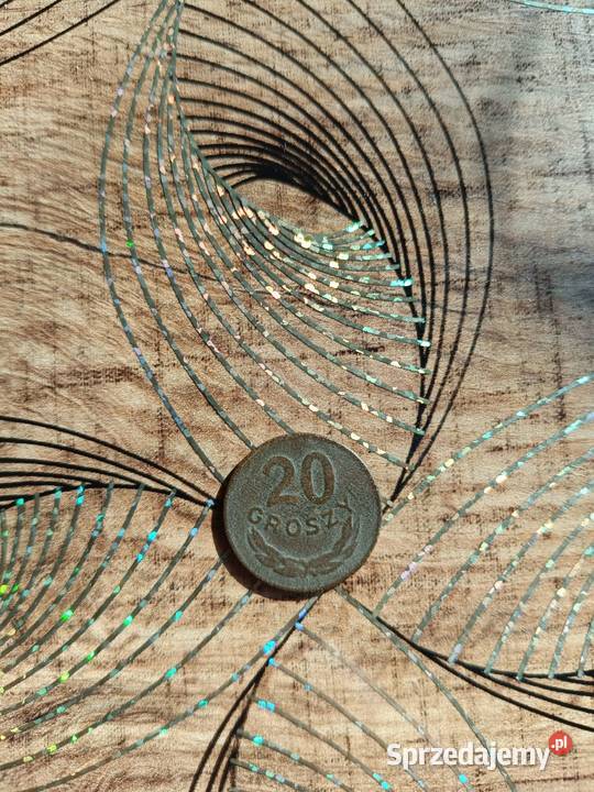 Moneta 20gr z 1949 roku świętokrzyskie