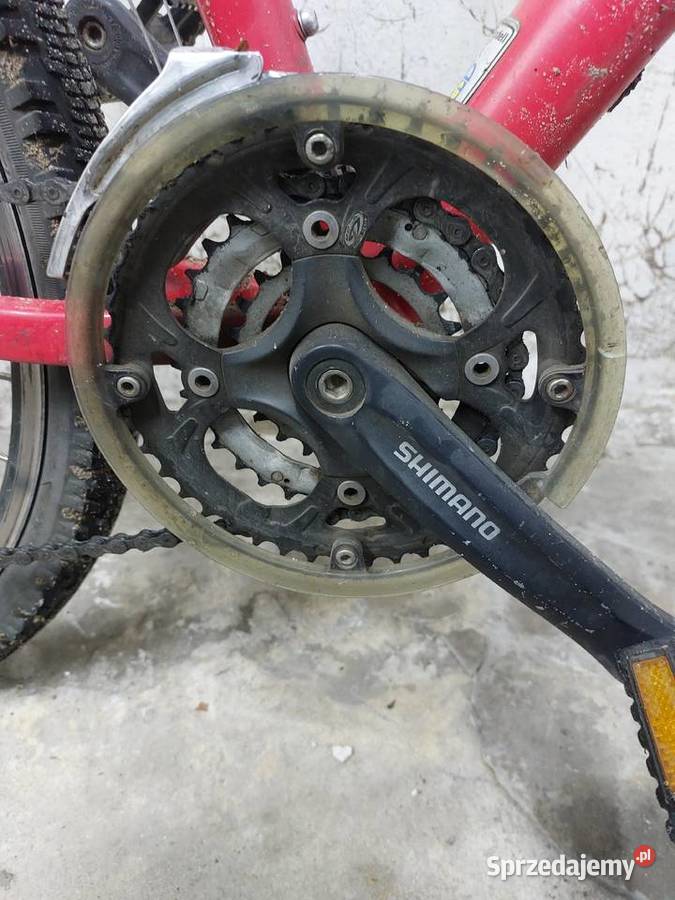 Rower MTB BULLS COMP 550 Szczecin