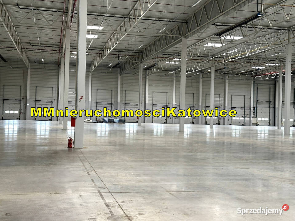Magazyny do wynajęcia Ruda Śląska A4 do 13150 m2 13150m2 śląskie