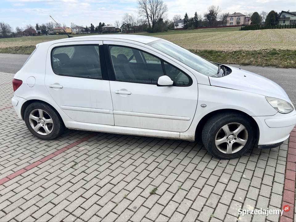 Sprzedam Peugeot 307 Stary Dzików