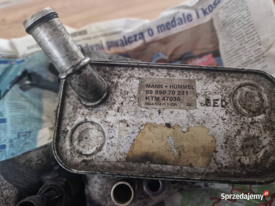 Chłodnica oleju Fiat Croma 19 JTD Brzeg Dolny