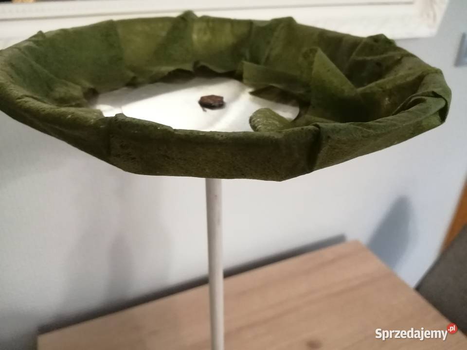 Stojaki florystyczne Obsługa imprez zachodniopomorskie Szczecin