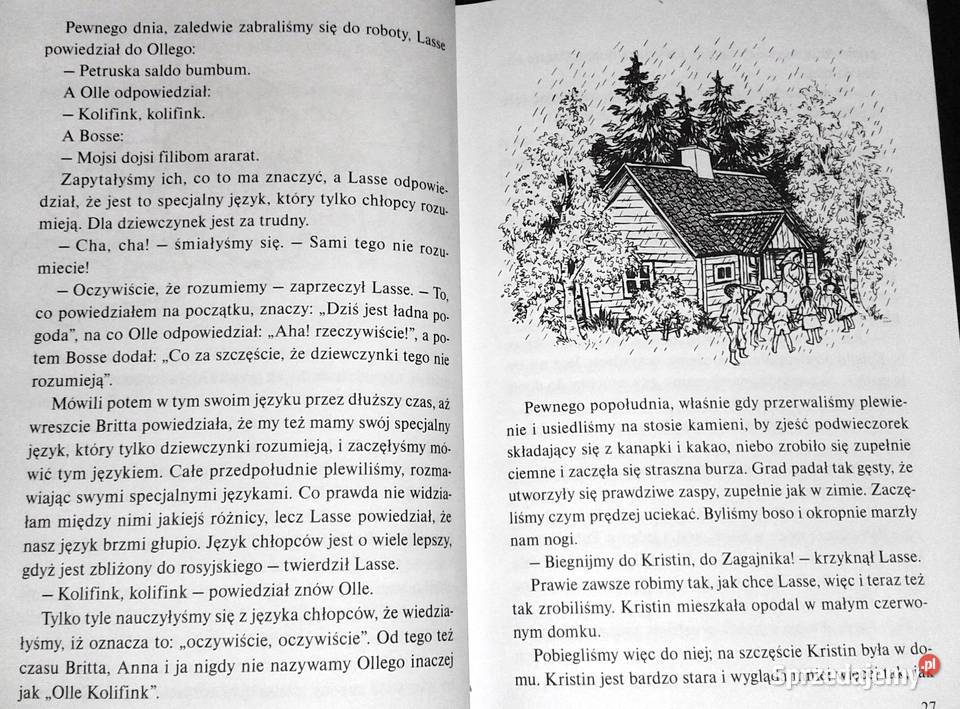 Dzieci z Bullerbyn Astrid Lindgren Kultura i Rozrywka Chełm sprzedam