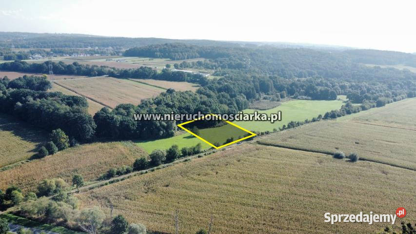Działka 2780m2 Syrynia sprzedam