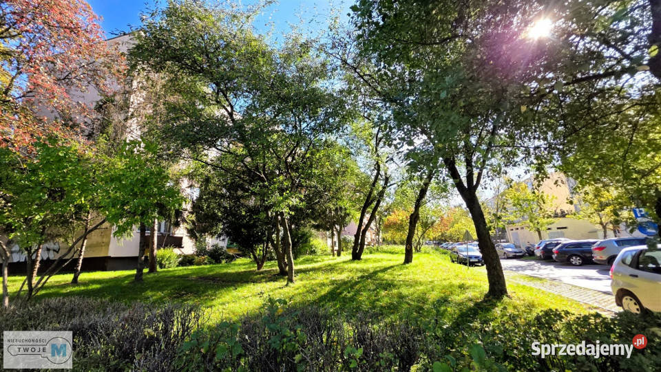 sprzedaży mieszkania Kielce 594m2 3 pok Nieruchomości
