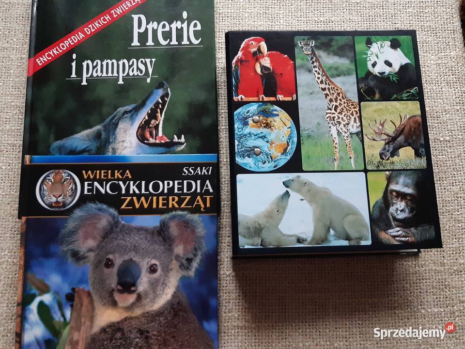 Plus Segregator z kartami zwierząt 2 Albumy Kraków