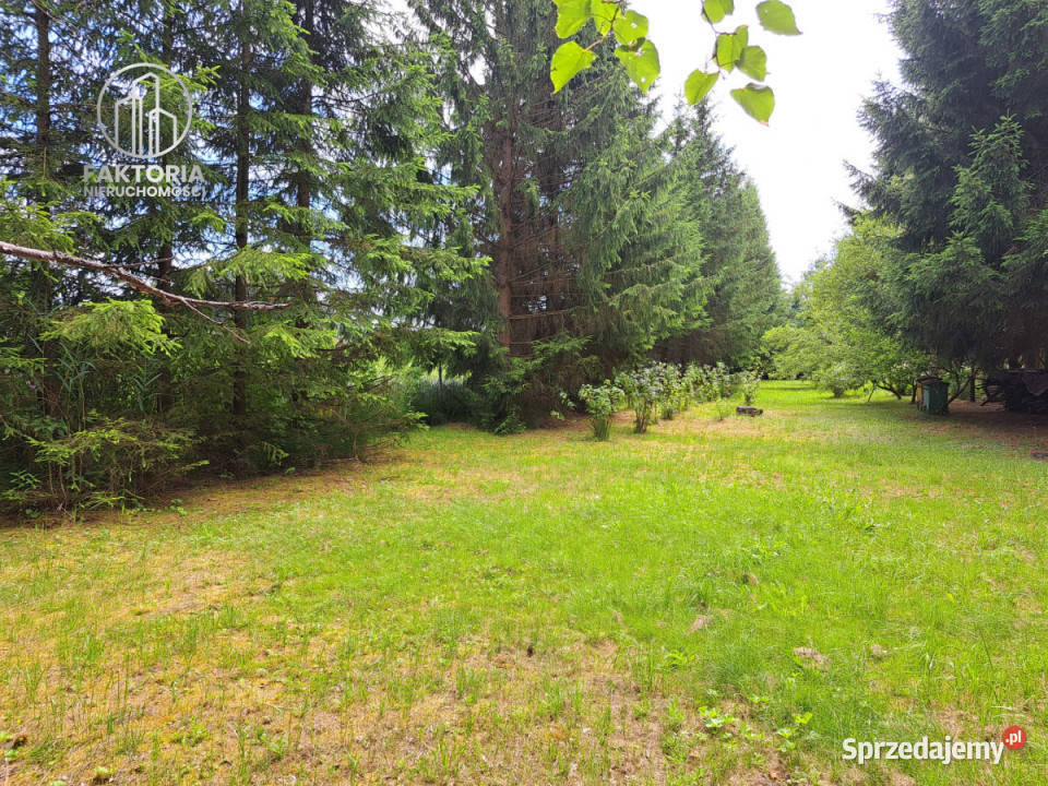 Działka 16000m2 Sobolewo Baranowicka 225m