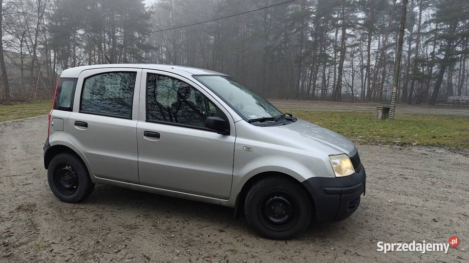 Fiat Panda 11 2004 r Niski przebieg kupiony w Polsce Kolbuszowa