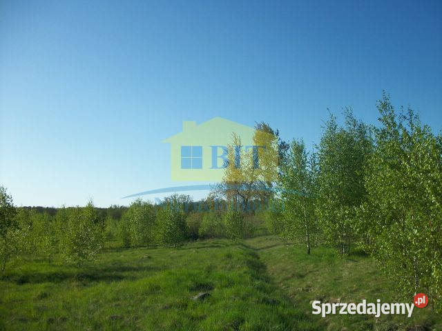 Działka 219 ha jeziorze Drawsko Siemczyno sprzedam